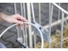 KERBL Kälberiglu "CalfHouse PE UV+" für 1 Kalb, mit Umzäunung