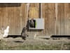 SmartCoop Hühnerklappe horizontal, mit Zahnstangenantrieb für Geflügelställe, 70645