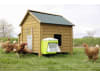SmartCoop Futterautomat 7,5 kg mit Trittklappe, Kunststoff, für Hühner, 70660