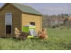 SmartCoop Futterautomat 7,5 kg mit Trittklappe, Kunststoff, für Hühner, 70660