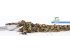 Höveler Herbs META-FIT  Kräutermischung mit Mariendistel und Weißdorn 800 g Beutel