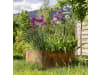 bellissa Hochbeet Corten 110 x 110 x 50 cm  braun , Füllmenge 624 l