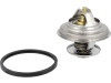Fendt Thermostat für Traktor Vario 500, 700, 800, 900, F743202050010
