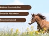 PelliPets Pferdeeinstreu Holzpellets