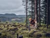 Husqvarna® Benzin-Kettensäge "540 XP® Mark III"