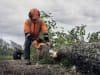 Husqvarna® Benzin-Kettensäge "540 XP® Mark III"