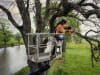 Husqvarna® Benzin-Kettensäge "540 XP® Mark III"