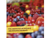 Solabiol Beeren- & Obstdünger  1,5 kg   