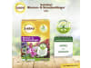 Solabiol Blumen- & Staudendünger  2,5 kg   