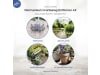 Protect Garden Permaclean Grünbelag Entferner AF 500 ml   