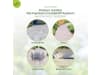 Protect Garden Permaclean Grundstoff Acetum 5 l   
