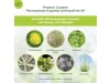 Protect Garden Permaclean Express Unkrautfrei AF 1 l   