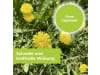 Protect Garden Permaclean Express Unkrautfrei AF 1 l   