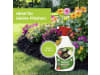 Protect Garden Permaclean Express Unkrautfrei AF 1 l   