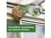 Protect Home Natria Wespennest Kleber 500 ml   