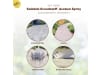 Solabiol Grundstoff Acetum Spray 1 l   