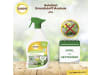 Solabiol Grundstoff Acetum Spray 1 l   