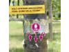 Solabiol Insektenbarriere 1 St.   