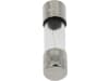 Herth + Buss Glassicherung 2 A/250 V, 20 x 5 mm, F flink, 50 295 050