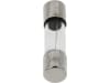 Herth + Buss Glassicherung 6,3 A/250 V, 20 x 5 mm, F flink, 50 295 054