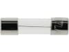Herth + Buss Glassicherung 5 A/250 V, 20 x 5 mm, F flink, 50 295 005