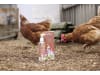 ida plus® Ergänzungsfuttermittel "MiteProtect" 200 ml mit Pumpflasche für Hühner; Küken; Wachteln; Geflügel, 73185
