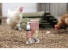 ida plus® Ergänzungsfuttermittel "ReVital" 200 ml mit Pumpflasche für Hühner; Küken; Wachteln; Geflügel, 73188