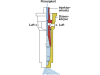 Lechler Air-Injektor Schrägstrahldüse "IS", 80° asymmetrisch (20°/60°), POM