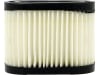 Luftfilter 71 x 44,5 x 54 mm, für Motor Tecumseh Centura, Centura OHV, Centura LEV