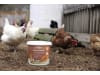 ida plus® Ergänzungsfuttermittel "Mineral Grit Mix" 5 kg für Hühner; Küken; Wachteln; Geflügel, 73190