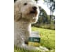ida plus® Ergänzungsfuttermittel "12-in-1 Move-Complex" 160 g für Hunde; Welpen, 86328