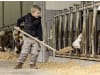 KERBL Aluschaufel "Mini" Breite 26 cm, für Kinder ab 5 Jahren, 29714