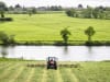 Massey Ferguson Heuwender "MF TD X"