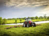 Massey Ferguson Heuwender "MF TD X"