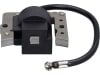 Zündspule Abstand Bohrungen 61 mm, Bohrung 11,5 x 9,3 mm, für Motor Tecumseh