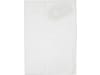 Nilfisk Filtertüte 4 St. Vlies, Filtersack, für Nass- und Trockensauger Buddy II, 81943048