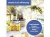 Protect Home FormineX Wespen-Spezialspray+Wespenschau    