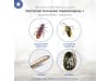 Protect Home FormineX Universal Insektenspray+ 600 ml Flasche  
