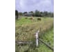 LUDA.FARM Zaunsensor "FenceAlarm2" für die Spannungsüberwachung von Weidezäunen, 1137