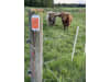 LUDA.FARM Zaunsensor "FenceAlarm2" für die Spannungsüberwachung von Weidezäunen, 1137