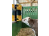 Patura Kratzbürste "Multifix" 300 x 500 x 140 mm für Bullen; Kälber; Rinder; Pferde; Ponys; Schafe; Ziegen, 334149