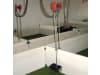 Rotecna Ferkeltränke "Water Level" mit Edelstahlrohr und Kipptrog, 22880