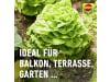 COMPO Schneckenkorn 1.100 g Karton  