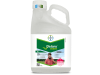 Bayer Delaro Forte   