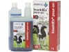 DESINTEC® InsektEx® pour-on gebrauchsfertige Lösung zur Fliegenbekämpfung für die äußere Anwendung bei Rindern 1 l Flasche