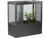 biohort® Gewächshaus "Florentina" 2,00 x 1,00 x 2,13 m, dunkelgrau; metallic, B140970