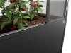 biohort® Gewächshaus "Florentina" 2,00 x 1,00 x 2,13 m, dunkelgrau; metallic, B140970