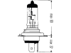 Hella® Halogenlampe Halogen H4, 12 V, 60 W; 55 W, P43t-38, 8GJ 002 525-131