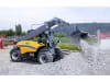 GIANT® Teleskoplader "GT5048"