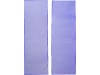 Delizia® Desinfektionsmatte 400 x 120 x 4 cm für LKW und PKW, 2 St., 16516